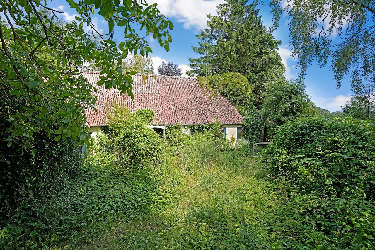 image 02
