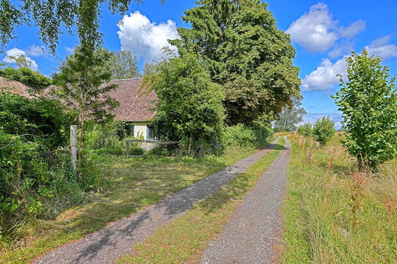 image 01