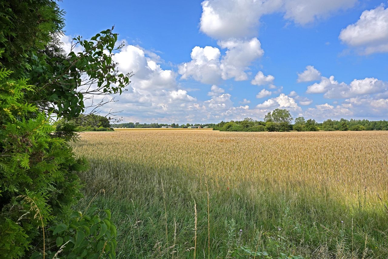 image 03